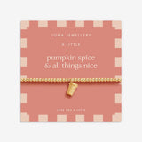 Pumpkin Spice And All Things Nice Bracelet