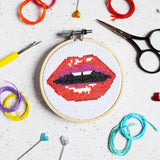 Read My Lips Mini Cross Stitch Craft Kit