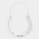 Good Luck Horseshoe