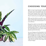 Little Book of Houseplants