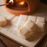 Pumpkin Spice Scented Snap Bar Wax Melt