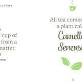 Little Book of Tea