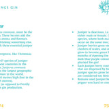 Little Book of Gin