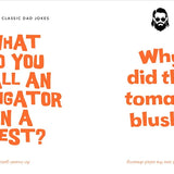 Little Book of Dad Jokes